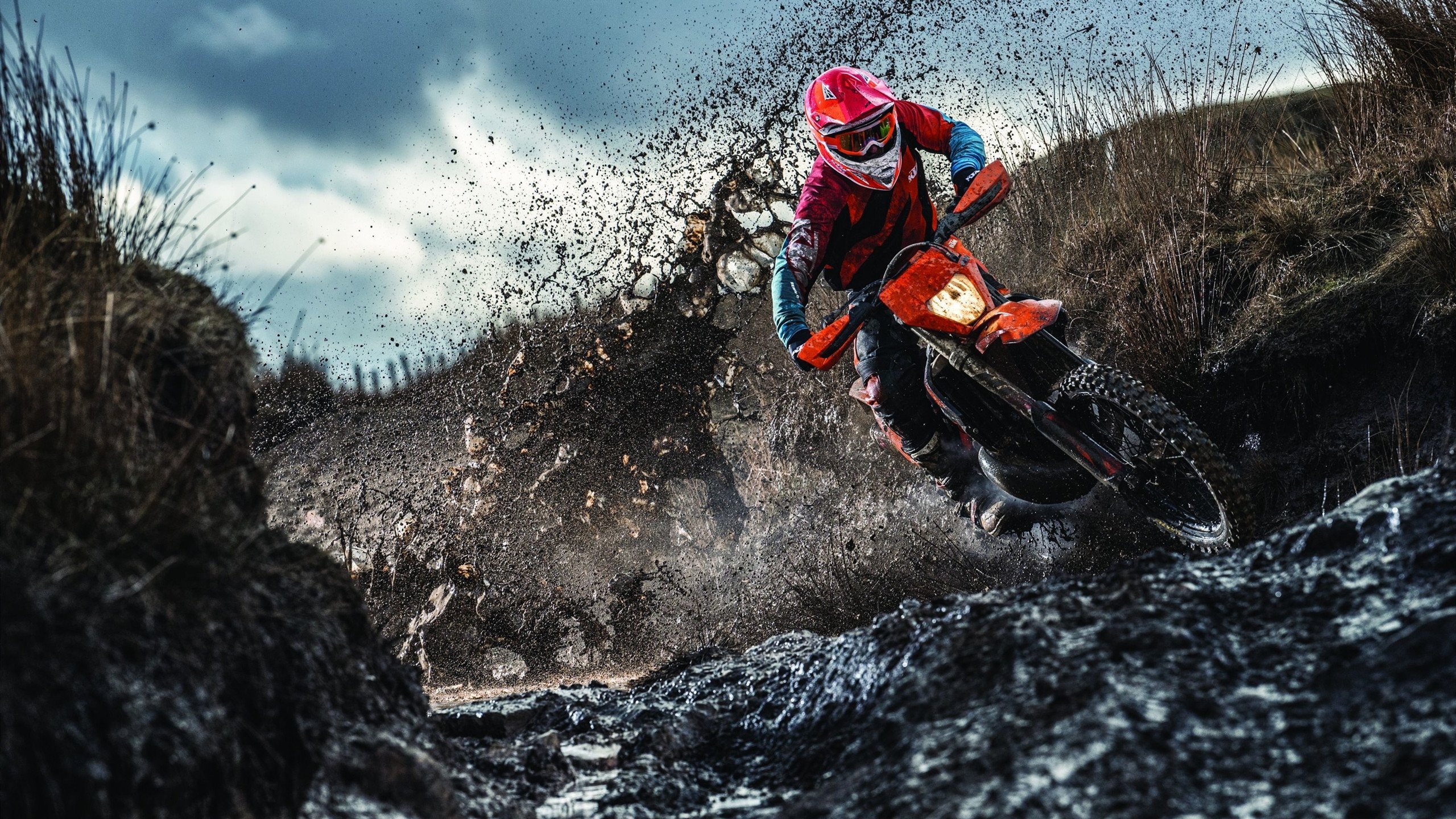 ac米兰体育官网-绿茵场上的绝杀与乒乓台的高光，当法国队遇上张本智和